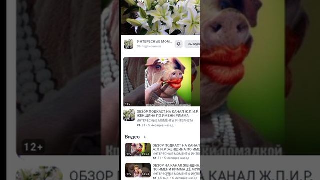 🔴ПОДКАСТ ОТВЕТ НА РОЛИКИ С КАНАЛА ЖЕНЩИНА ПО ИМЕНИ РИММА ‼️