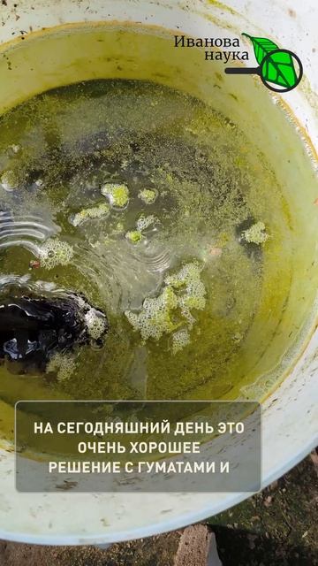 Сад и Огород