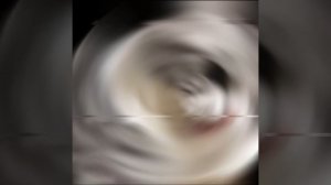эдит с комару