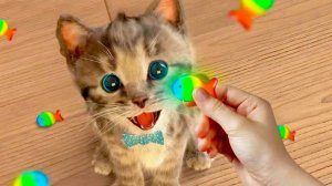 Анимированные приключения мале