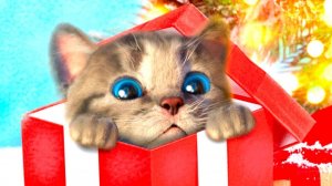 МИЛЫЙ МАЛЕНЬКИЙ КОТЕНОК ПРИКЛЮ
