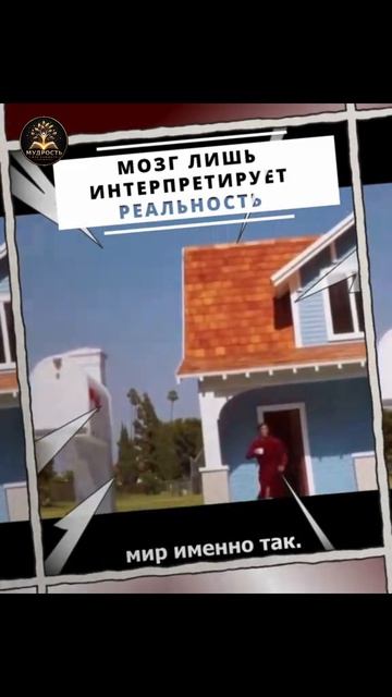 ШОРТ