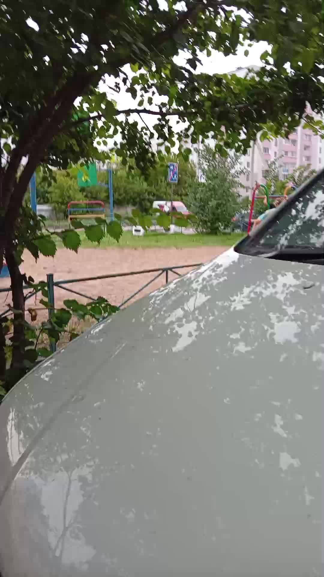 мы следим за ними. Вика и Паша. смотреть онлайн