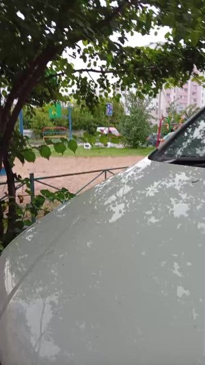 мы следим за ними. Вика и Паша.