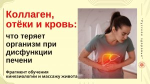 Коллаген, отёки и кровь: что теряет организм при дисфункции печени . Фрагмент обучения