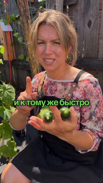 Что нельзя делать в огороде во второй половине июля? Что нельзя делать в огороде во второй половине июля?