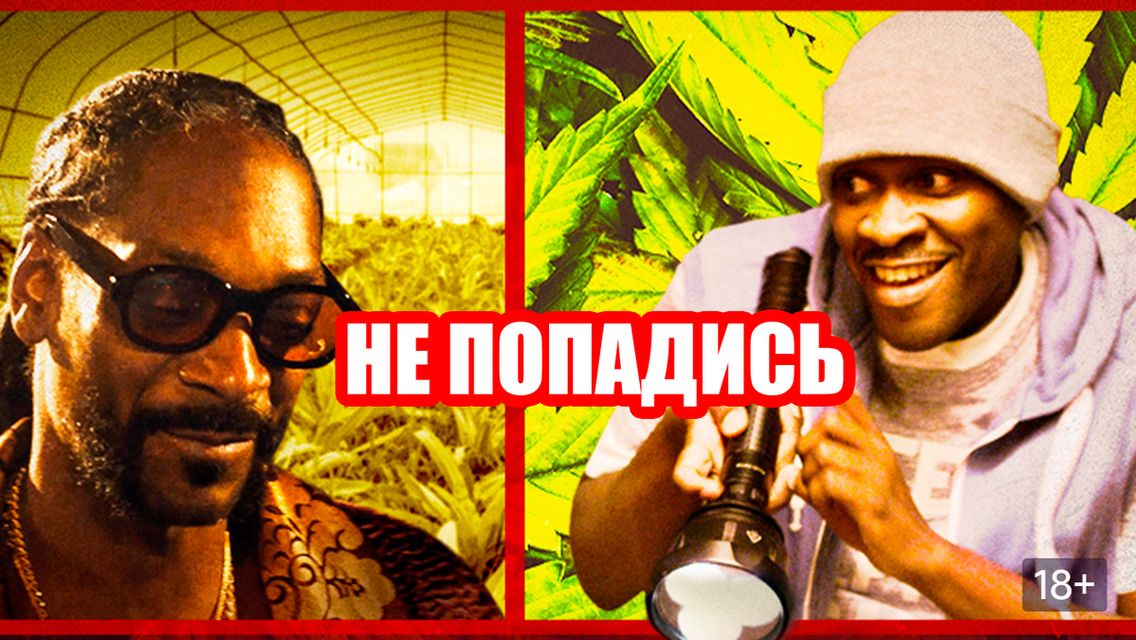 Не попадись (2018) / Don't Get Caught