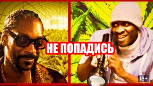 Не попадись (2018) / Don't Get Caught