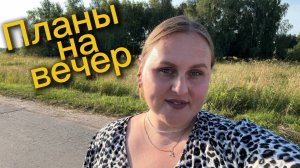 Планы на вечер. Сходили в магазин и жарим шашлык
