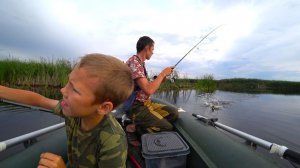ЧЕРНЫЕ ЩУКИ НА КОЛХОЗНОМ ПРУДУ АТАКУЮТ ПОВЕРХНОСТНЫЕ ПРИМАНКИ. РЫБАЛКА НА СПИННИНГ ЛЕТОМ