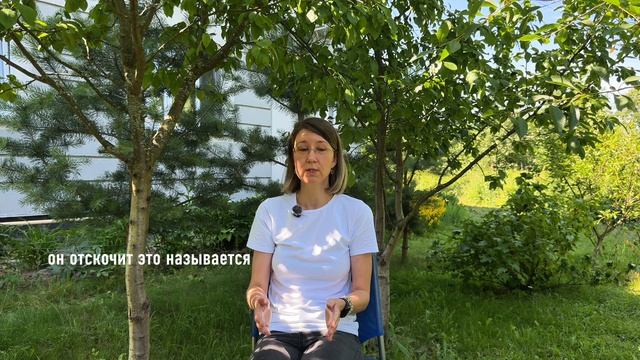 АНО Мозаика — Екатерина Беляева (Интервью) АНО Мозаика — Екатерина Беляева (Интервью)