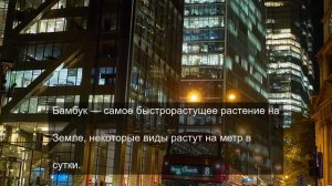 Путешествуем по миру 18