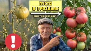 Одна ложка под помидор - и куст взорвётся завязью! Только не та, что вы думаете