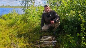 Всегда проезжали мимо этого озера.в этот раз решили порыбачить.Окунь щука на спиннинг.