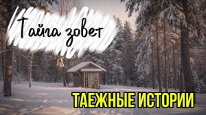 ТАЙГА ВОЗВРАЩЕНИЕ | таежные рассказы