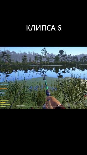 Русская рыбалка 4 Старый Острог трофей серебряный карась 19 июля 2026 #russianfishing4 #рыбалка