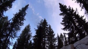 В июле в тайгу Прикамья. Возвращение. Часть 1