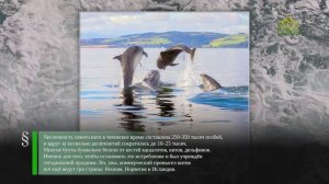 Этот день в истории. 23 июля