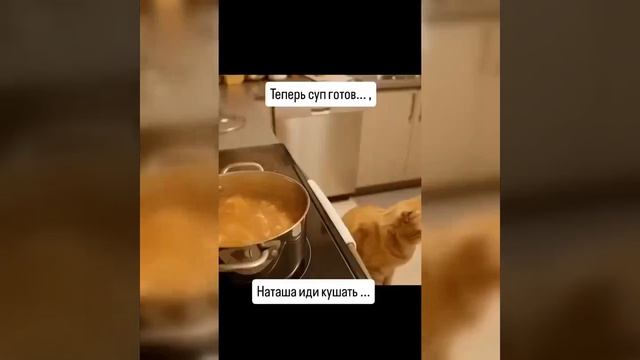 2_5393162099687980560 смотреть онлайн