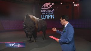 В парке Сокольники открылось Шапито Большого Московского цирка