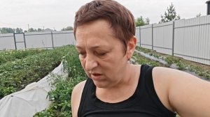 Рано радовалась.Все таки нематода.