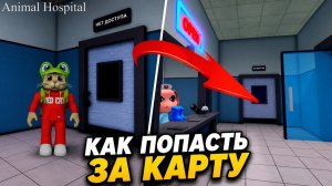 КАК ПОПАСТЬ ЗА КАРТУ после обновления в игре Больница для животных роблокс | Animal Hospital roblox