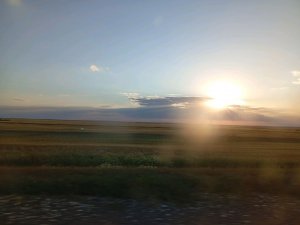 Природа во дворе