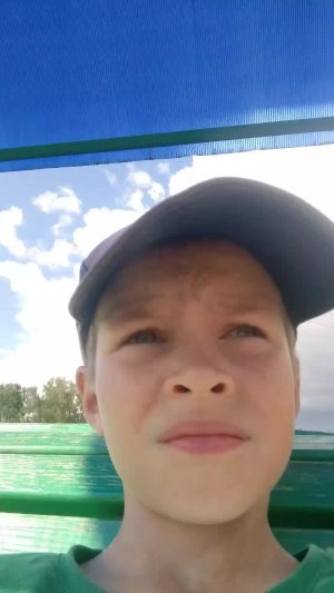 жизнь