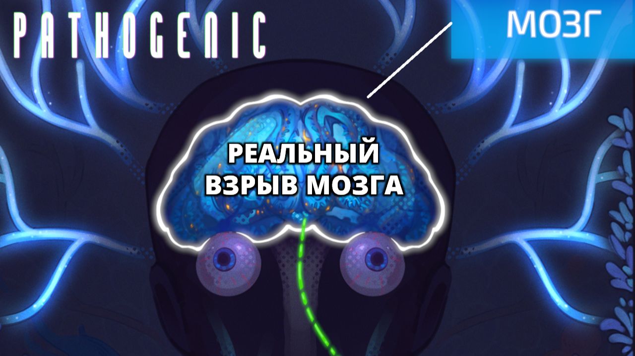 ПРАВИЛЬНАЯ КОНЦОВКА - Pathogenic #4 смотреть онлайн