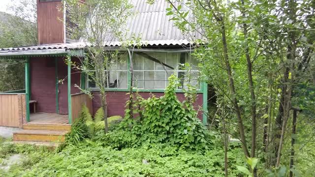 12780465 смотреть онлайн