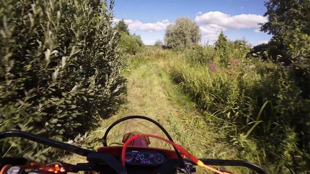 Катнули спустя почти месяц