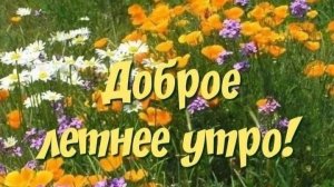 УТРЕННЯЯ ПОЧТА! ВАСЕВСКИЙ ДАГОМЫССКИЙ ЛЕТУН😂😂😂
