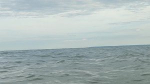 На море волны! #волны