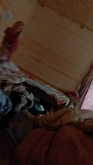Моя сестра весь день