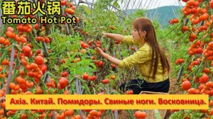 Axia из Юньнани. Китай. Помидоры. Свиные ноги.Восковница.
