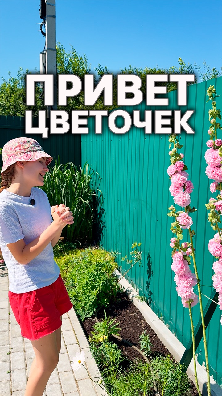 Разговоры с цветами 🌸🌺 #надаче #юмор