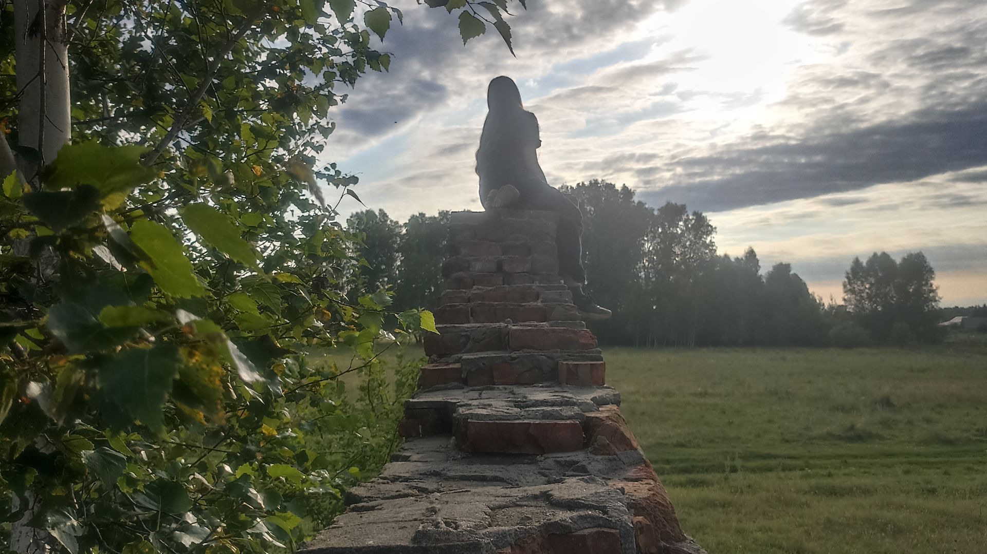 Чувства по проводам 💔🌹 смотреть онлайн