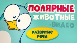 Учим полярных животных | Кто живёт во льдах? | Ладушки-Ладушки