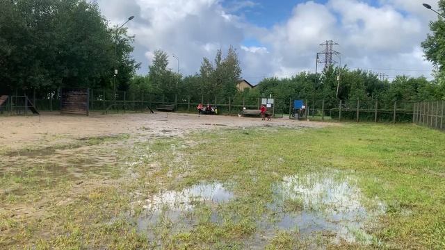 1. выражено/пож NEMAN V. HAUS KSENI (Ziger v. Haus Kseni – Kosa Nostra v. Haus Kseni) смотреть онлайн