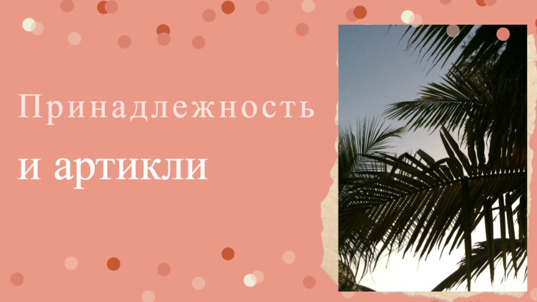 Английский с нуля. Урок 13 из 60. Принадлежность и артикли. смотреть онлайн