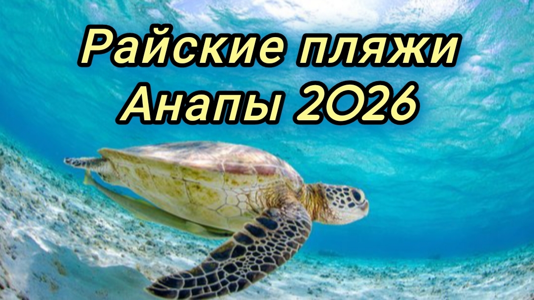 Витязево/ Тортуга Где пляжи без глины в Анапе? 20-07-2026 смотреть онлайн