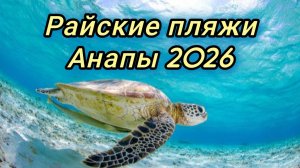 Витязево/ Тортуга  Где пляжи без глины в Анапе? 20-07-2026