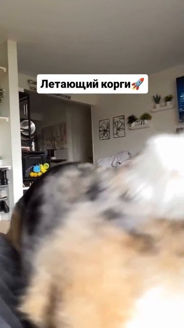 летаем в космос с космос