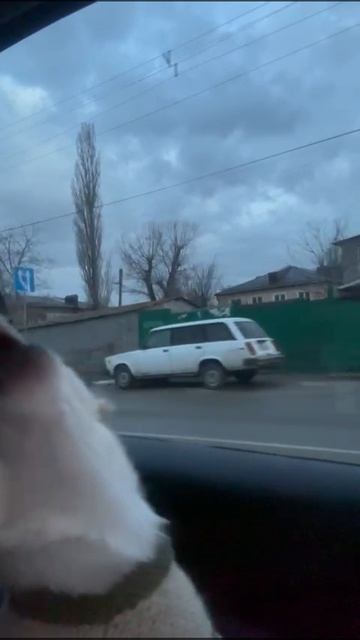 Кусочек исполняет свою любимую песню