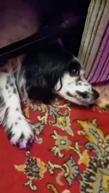 Где вход?...)))