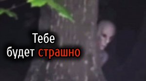 (КОТЫ ЮТУБЕРЫ)Самые Ужасные Видео со Всего Мира