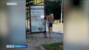 Уголовная ответственность грозит водителю, устроившему ДТП с пассажирским транспортом в Ставрополе