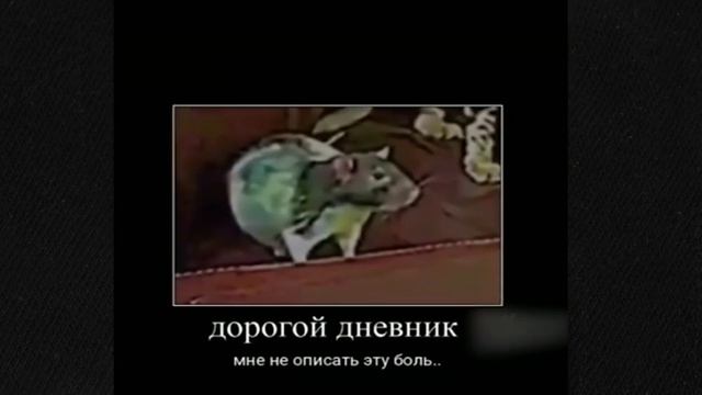 Дорогой дневник - Мне не подобрать слов, что бы описать ту боль и унижение которое я испытал сегодня смотреть онлайн