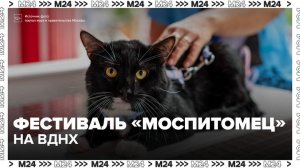 ВДНХ приглашает на фестиваль «Моспитомец» 26 июля