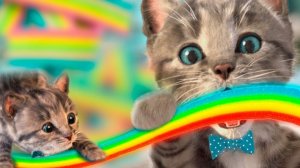 МОЕ МИЛОЕ МАЛЕНЬКОЕ ПРИКЛЮЧЕНИ